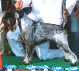 Jack BIS all'Expocanina de Otoo, a Habana nov. 2005